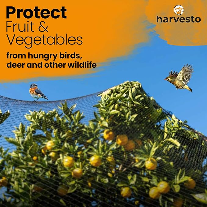 Harvesto Heavy Duty Bird Netting for Chicken Coops & Runs | Tree & Garden Netting Mesh 1-1/2" | Keep Hawks, Birds & Predators Away | Bird Netting for Blueberry Bushes, Vegetables & Fruit (25' x 50’)
