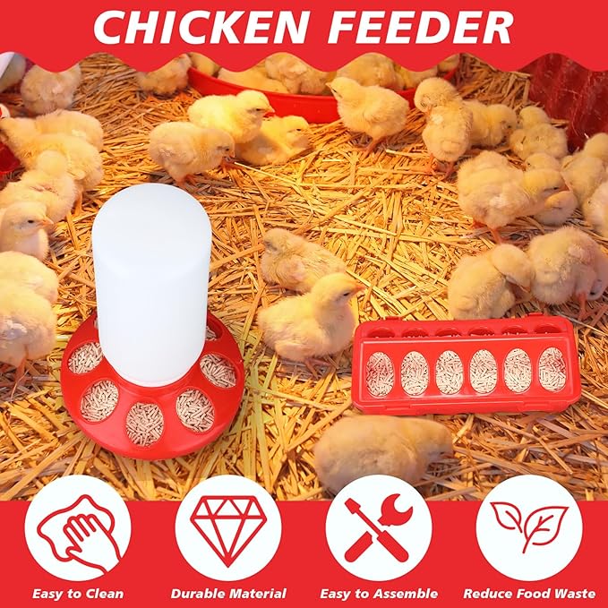 5 Pack Winter Chicken Brooder Box Starter Heated Chicken Waterer with Chick Perch Set 0.8 Gallon Heated Poultry Fountain, Flip Top Poultry Feeder, 2.9 Pounds Chick Feeder for Coop Chicks
