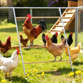 Large Chicken Roosting Bars, 55 Inch Chicken Perch for Coop with Metal Frame, Sturdy Roosting Ladder for Hens, Chicken Coop Accessories and Toys for Backyard Poultry, Easy to Clean