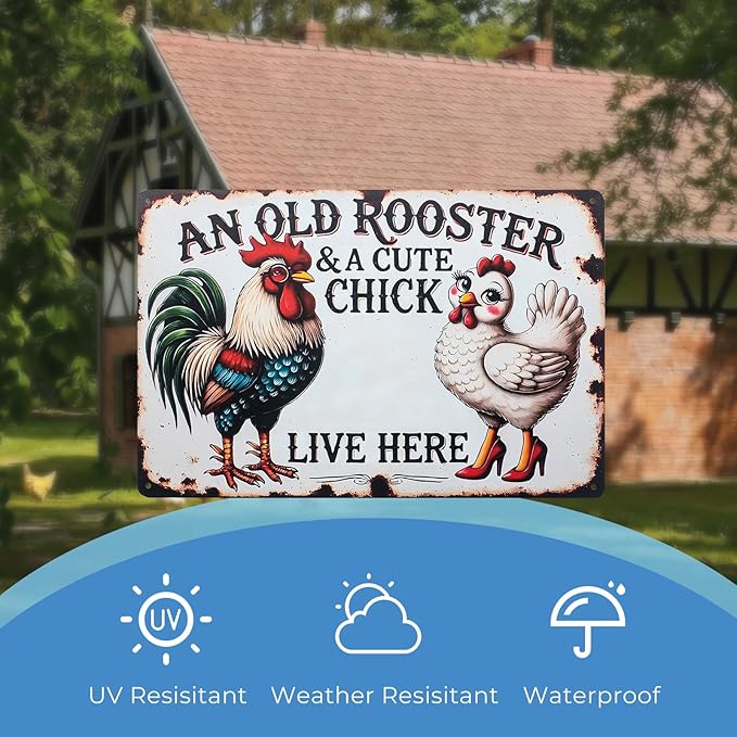 Funny Tin Signs Chicken Coop Decor Outdoor Vintage Rooster Gifts Yard-signs Decorative Signage For Farm and Garden 8×12 inches (H)