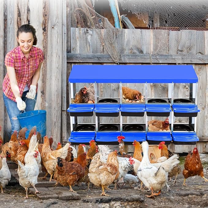 Two-Tier Chicken Nesting Box, 10 Hole Metal Chicken Egg Laying Box with Swing Perch and Rollout Egg Collection Applicable to Coops and Duck Houses Blue.