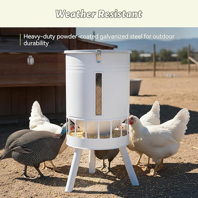 KOL 50LB Chicken Feeder & 5 Gallon Chicken Waterer Set, All-Metal 16 Port Feeder + 8 Cup Auto Waterer, No Waste, Weatherproof Poultry Feeding System Chicken Coop Accessories