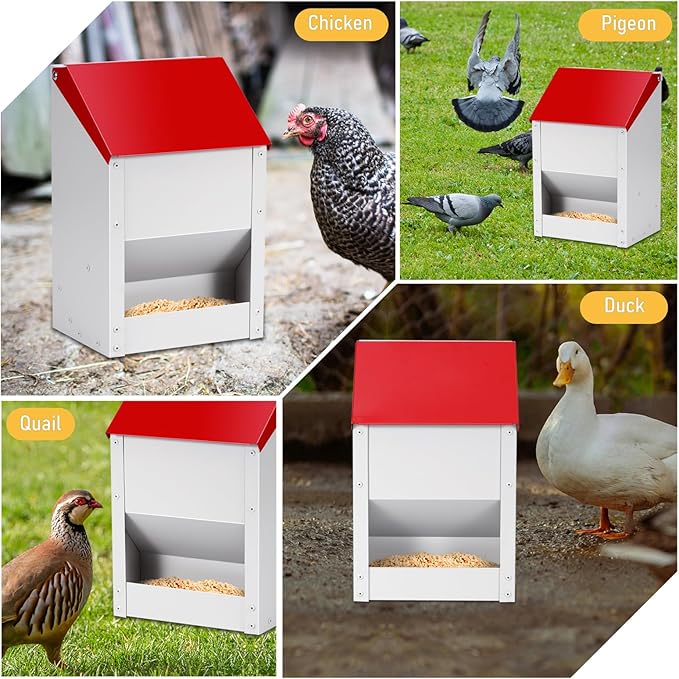 Automatic Chicken Feeder 10lbs Metal Chicken Feeder No Waste Wall Mounted Poultry Feeder Trough with Scoop for Chickens Ducks Quail Geese Pet