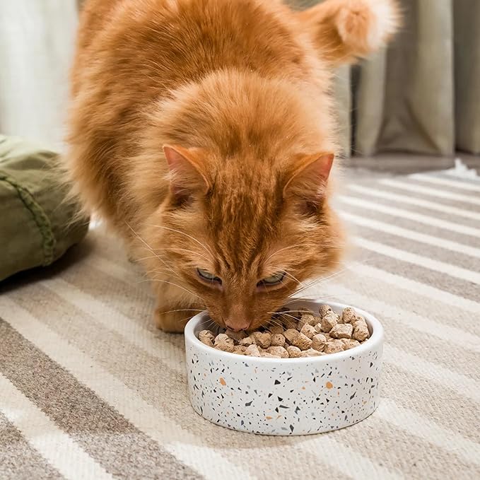 Open Farm, Freeze Dried Raw Cat Food, Complete Meal Morsels or Cat Treats with 92% Meat, Organs & Bone, Surf & Turf Recipe, 9oz Bag