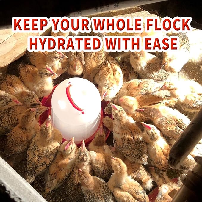 Oncpcare Poultry Feeder and Waterer Set, 4 Pack Chick Feeders and 2 Pack 3L Chicken Waterers Combo Kit | No Spill, Easy Fill Design for Baby Chicks, Ducklings, Quail, Pigeons, Small Poultry Brooder