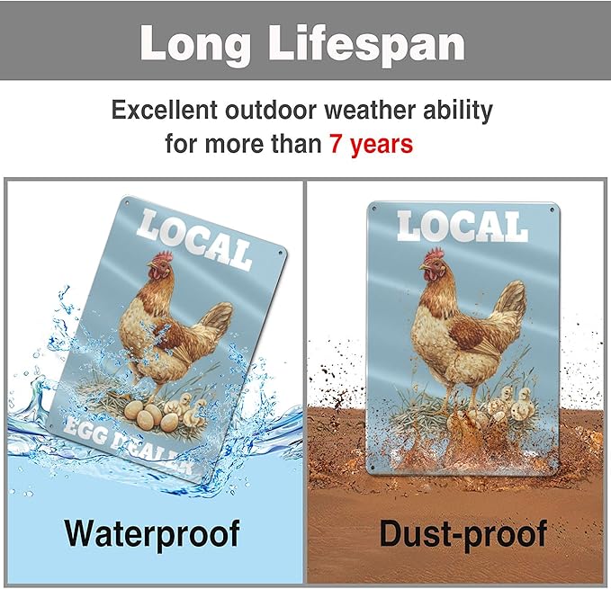 Local Egg Dealer Funny Chicken Coop Sign Farm Fresh Eggs Aluminum Sign Humorous Poultry Farm Decor Gift for Chicken Lovers Rustic Metal Sign 8x12 Inches Style-02