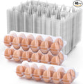 48 Pack Egg Cartons Cheap Bulk 12 Count, 1 Dozen Clear Empty Chicken Egg Cartons for Chicken Eggs, Plastic Egg Holder Egg Container for Family, Chicken Farm and Markets - Medium Reusable Egg Carton