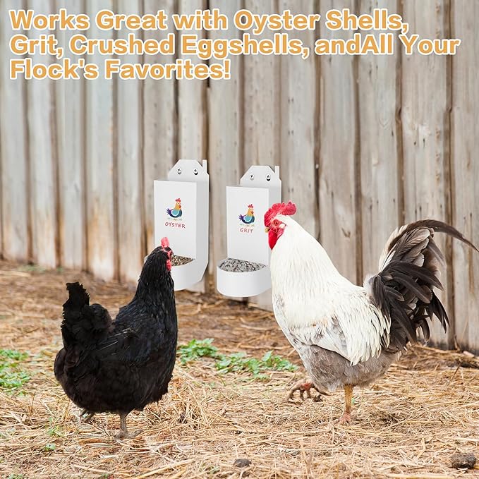 Chicken Grit and Oyster Shell Feeder,Metal Automatic Chicken Feeder,Chicken coop Accessories Poultry feeders, Suitable for Quail, Pigeons, Doves, Chicks, and Adult Chickens（2 Pcs）