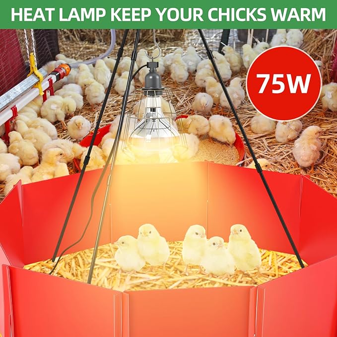 8 Pcs Chick Starter Kit Include Chicken Brooding Box with 75w Heat Lamp, Heated Chicken Waterer and Feeder, Chick Perch, Flip Top Poultry Feeder for Duck Goose Quail