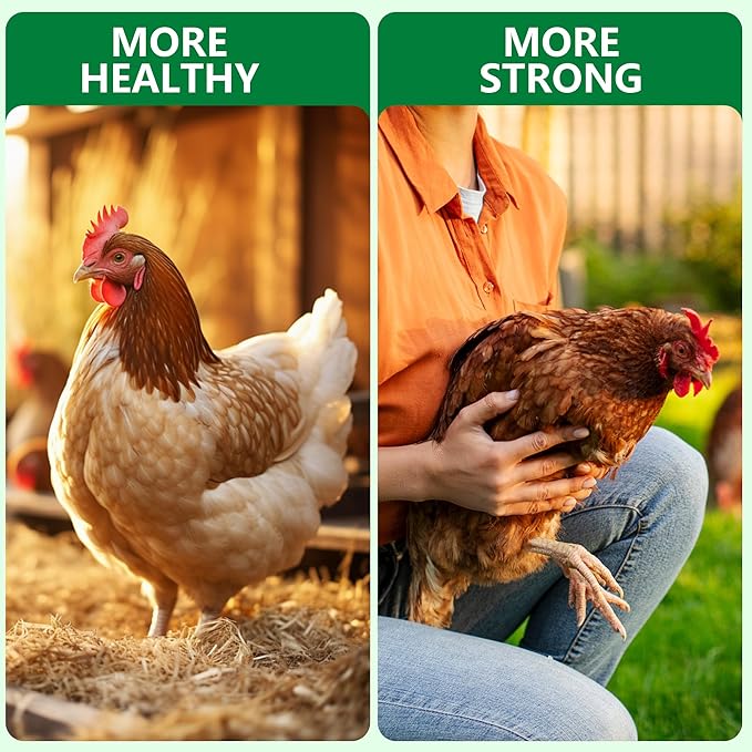 Natural Chicken Poultry De-Wormer Powder, Safe for Eggs, Effective for All Ages & Sizes,1.5 LB