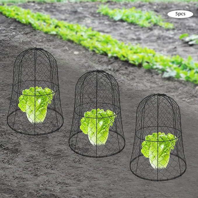 YIYIBYUS Garden Chicken Wire Cloche, 12.99" Diameter x 15.75" Height Plant Protective Covers Metal Cage Plant Protector Cover for Gardens, Parks, Yards, Balconies, Farms (5pcs, Black)