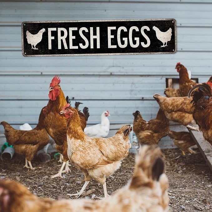 Chicken Coop Sign Fresh Eggs - Made In USA - Rustic Décor Farm Chicken Décor Kitchen Décoration Hen House Sign Outdoor Sign 104180017017