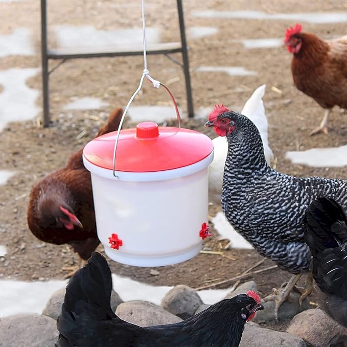 Farm Innovators 4 Pack Heated Chicken Waterer, Poultry Drinker Bucket, 2 Gallon