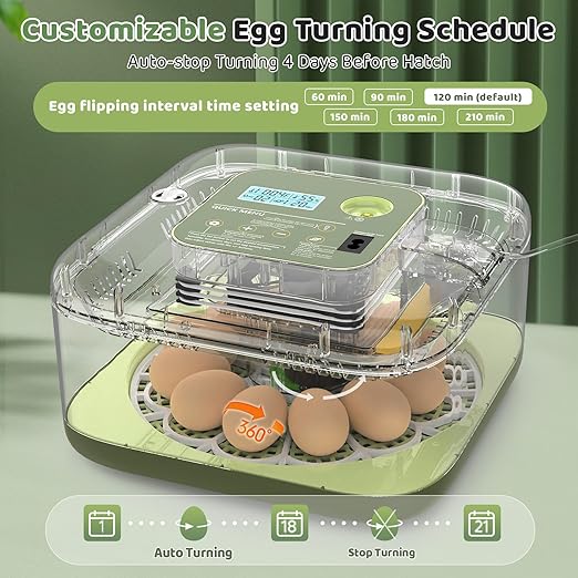 Incubators for Hatching Eggs 12 Egg Digital Egg Incubator Precision Auto Temp Humidity Control 6 Gear Adjustable Auto Turner Auto Stop Turning Hatching Days Display for Chicken Duck Goose Eggs