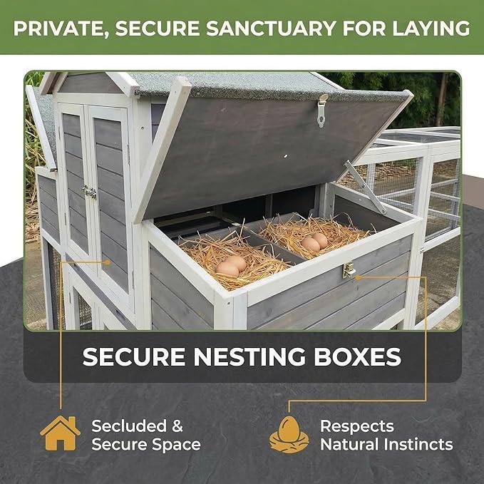 Predator-Proof Large Chicken Coop with Run for 6-10 Chickens | 150" Extra Large Wooden Hen House & Walk in Chicken Coop | Outdoor Duck Coop, Poultry Cage & Nesting Boxes | Jaulas para Gallinas