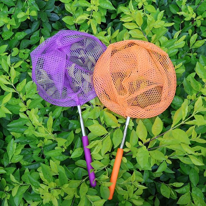 2 Pack Insect Catching Nets, Telescopic Stainless Steel Pole, Fishing Nets,Butterfly Nets, Nature Exploration Toys for Kids Outdoor Playing