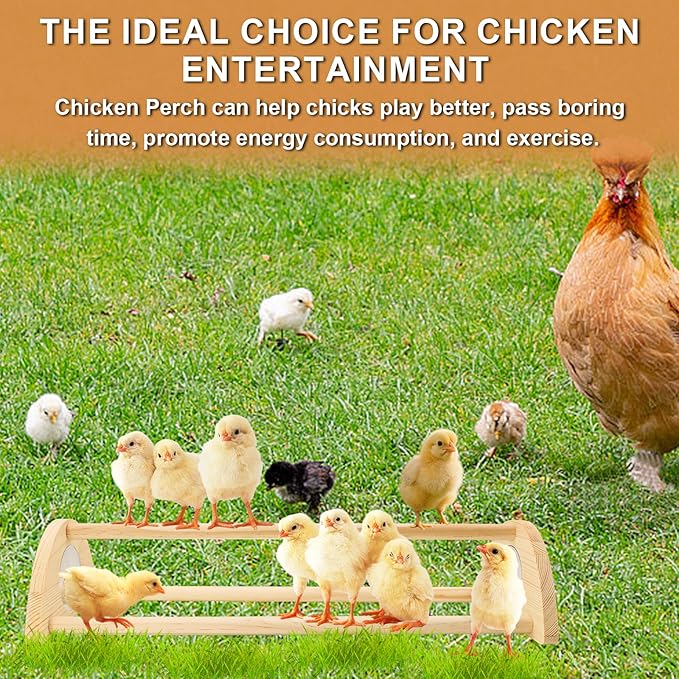 Chicken Perch with Mirror Roosting Bar for Baby Chicks Chick Jungle Gym Roosting Bar Strong Wooden Baby Chick Perches