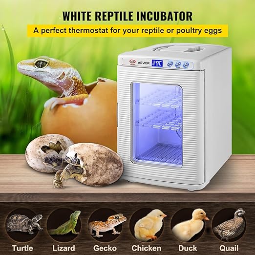 Happybuy White Reptile Incubator 25L Scientific Lab Incubator Digital Incubator Cooling and Heating 5-42°C Reptile Egg Incubator 12V/110V Work for Small Reptiles