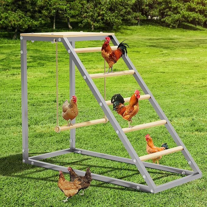 Upgraded 55" Multi-Tiered Chicken Roost: Galvanized Steel Frame with Wooden Perch Rungs & Ladder - an All-in-One Roosting Bar, Swing, and Habitat Enrichment for Healthy, Happy Hens