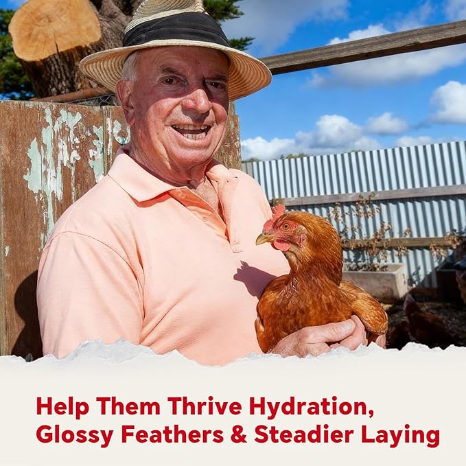 Chicken Vitamins & Electrolytes for Water — Immunity, Feather Health & Egg Production — Hydration + Glossy Feathers + Stronger Shells — Electrolytes, Calcium & Biotin, Vitamin D3 — 16 oz Powder
