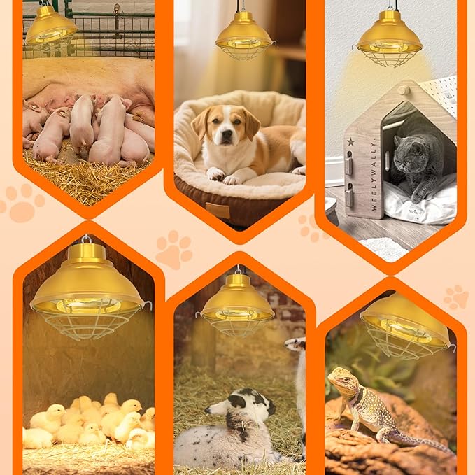 Chicken Coop Heater with Carbon Fiber Bulb, 600W Heat Lamp for Chickens Brooder, Chicken Heater Lamp with Adjustable 2-Mode Temperature & Hanging Height for Chick,Puppy,Cat,Goat,Piglet (350, Watts)