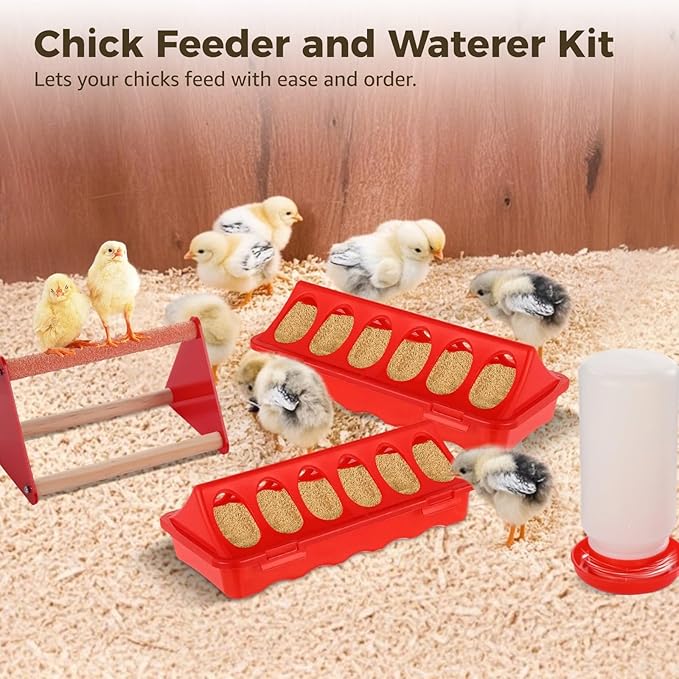 8 Pack Chick Feeder and Waterer Kit, Chick Feeding Supplies, Includes 3 Feeders, 2 Waterers, and 3 Perches, Chicken Starter Kit for Brooder & Coop, Ideal for Small Poultry