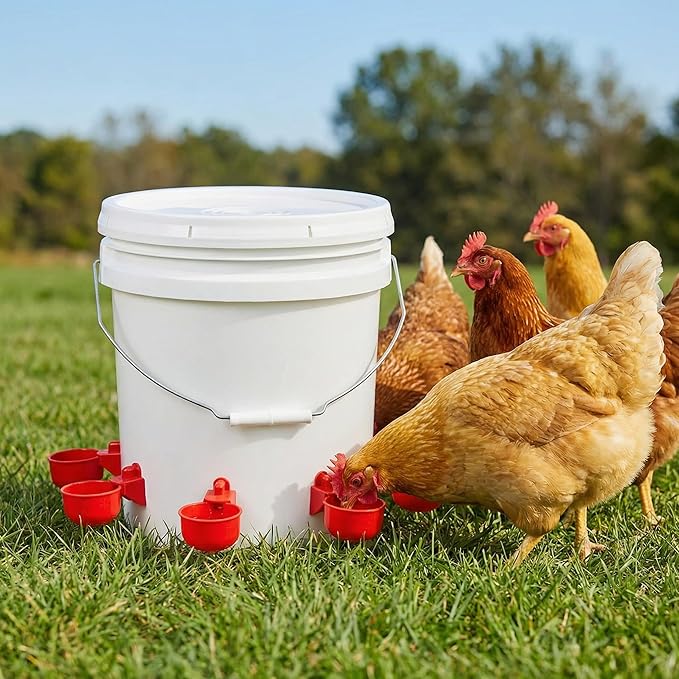 Cedilis 30 Pack Chicken Water Cup, Automatic Drinking Cups for Chickens, 3/8 Inch Thread Poultry Water Cups, Chicken Watering Feeder Cups for Chicken Duck Birds Turkey Rabbit