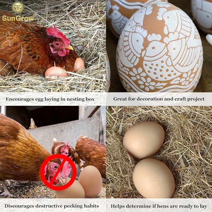SunGrow Fake Wooden Eggs to Train Birds from Laying in The Nesting Boxes & to Stop from Eating Own Eggs, Brown Color, 2 Pack Suitable for Chicken and Duck
