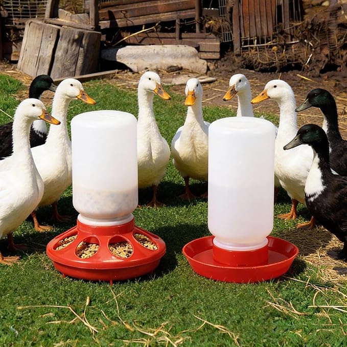 12 Pcs 0.3 Gal Chick Feeder and 0.3 Gal Waterer Set Baby Chicken Supplies Poultry Starter Kit Plastic No Waste Chick Coop Brooder Accessories for Small Chicken Quail Pigeon Duckling Birds
