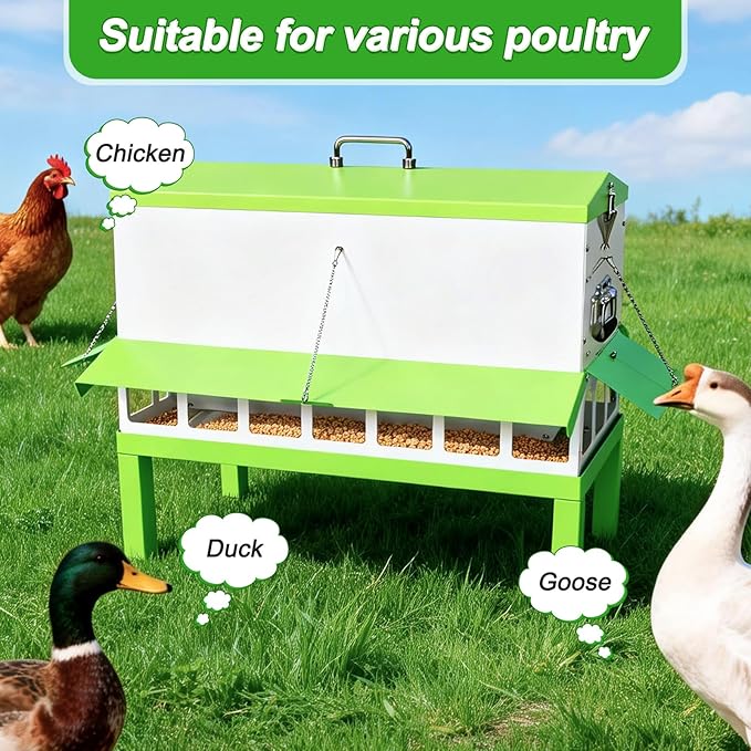 Metal Chicken Feeder 80lbs No Waste Automatic Chicken Feeder Galvanized Large Capacity Poultry Equipment with Latch and Handle Weatherproof Rat Proof for Chickens and Other Birds Outdoor Coop