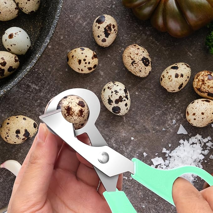 AHIER Pigeon Quail Egg Cutter Scissors Stainless Steel Blades Bird Cutter 2 Pack