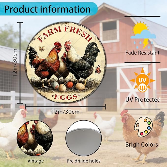 Funny Chicken Signs Farm Fresh Eggs Round Vintage Chicken Tin Sign for Coop Metal Tin Signs Poster 12 Inch