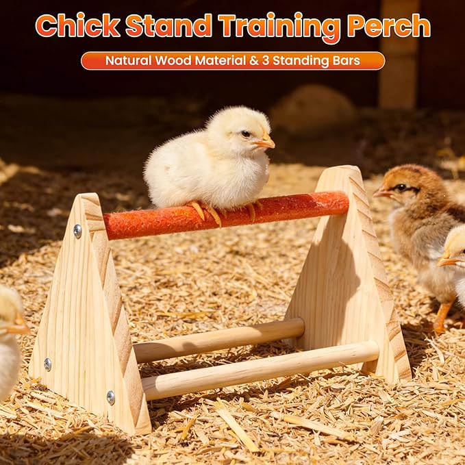 Chick Starter Kit, 2 Chick Feeders and 1.3L Automatic Waterer Set with 75W Adjustable Heat Lamp (2 Bulbs) and Stand Perch, Brooder/Coop Supplies for Baby Chicken, Duck, Quail