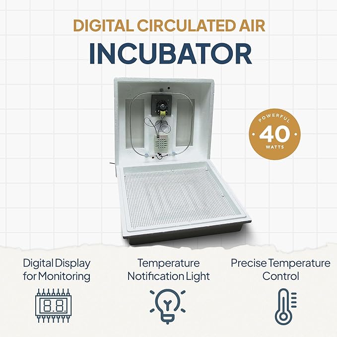Farm Innovators 120 Volt 40 Watt Circulated Air Incubator for Up to 4 Eggs with Easy to Read Digital Display and Large Picture Window, White (3 Pack)