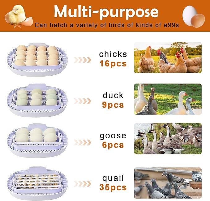 16 Egg Incubator with Automatic Egg Turning and Humidity Control,360 Degree View with Clear Window, Incubators for Hatching Eggs, Chicken, Ducks, Goose, Pigeon, Quail, Parrot