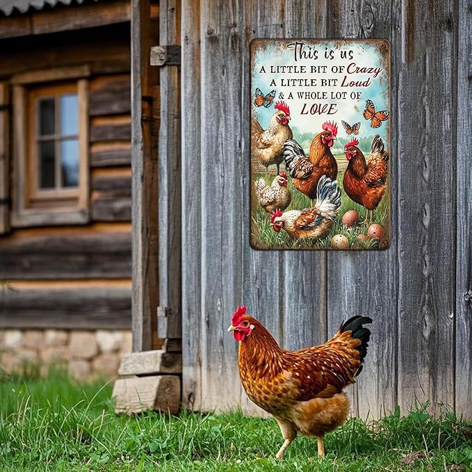 Chicken Metal Sign Chicken Wall Decor This Is Us Wall Decor A Little Bit Of Crazy A Little Bit Loud Chicken Coop Sign Farm Home Garden Yard Poster 12x16 Inch
