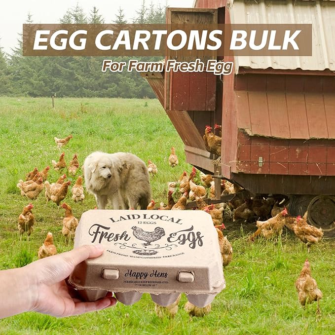 Zhanmai 25 Pcs Natural Paper Pulp Egg Cartons Blank Bulk 12 Count Dozen Vintage Classical 3 x 4 Style Square Chicken Cardboard Egg Tray for Family Farm Market Storing Easter Activity Supplies