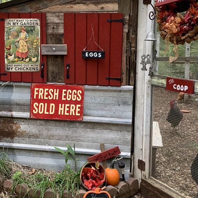 Fresh Eggs Metal Sign Farm Stand Signs Chicken Coop Decor Farmers Market Decorations Fresh Eggs Sold Here Sign Chicken Tin Signs For Outside Farmstand Supplies Farm Outdoor Yard Signs 8x12 Inch