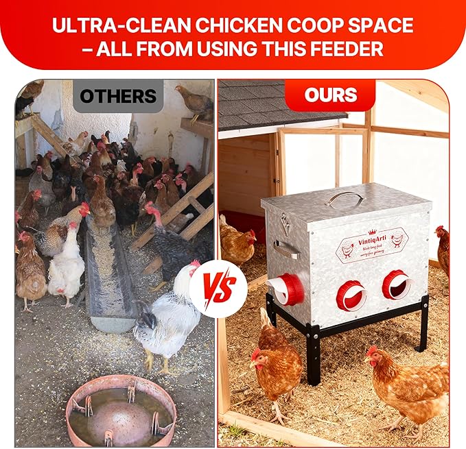 Automatic Chicken Feeder 40LB - 6 Gravity-Fed Chicken Feeders Reduce Waste, Adjustable Legs & Secure Lid, Heavy-Duty Galvanized Steel for Coops (Bright Silver)
