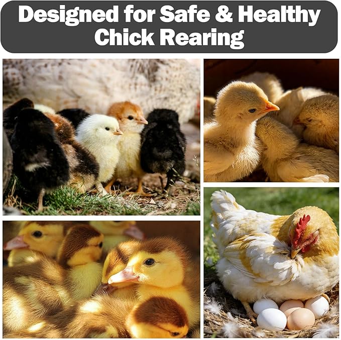 Chicken Brooder Box for Chicks, Pop Up Chick Starter Kit Brooder Pen with Double Door Cover, Collapsible Large Baby Chicken Brooder, Indoor Outdoor Use for Chicks, Ducks & Quail