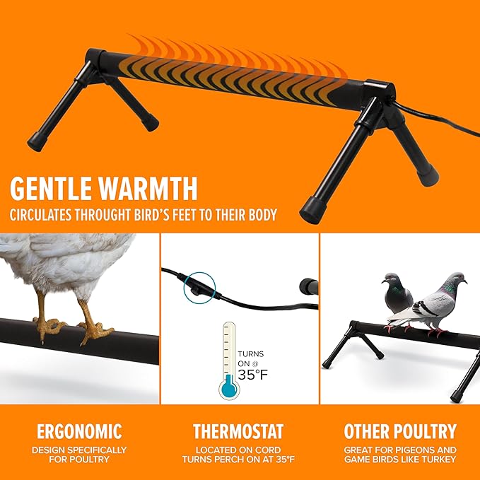 K&H Pet Products Thermo Heated Chicken Perch for Coop, Warming Chicken Heater, Prevents Frozen Toes, Warm Coop Accessories, Lamp Alternative, Safety Listed - Large 36” Black