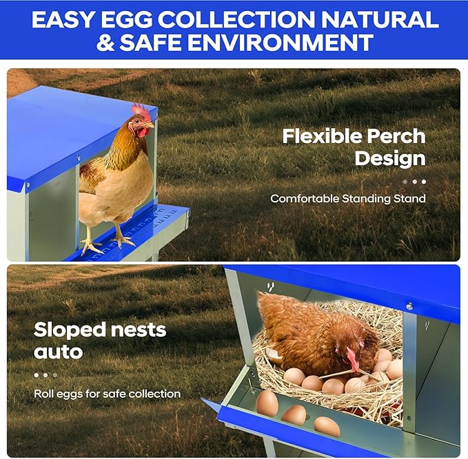 Removable Tray & Two-Tier Build - Chicken Nesting Box for Small Animals - 6 Compartments, Roll Away Metal Egg Laying Box, Large Vented Holes, Wall Mount or with Legs, Easy Clean - Blue, 84.5cm