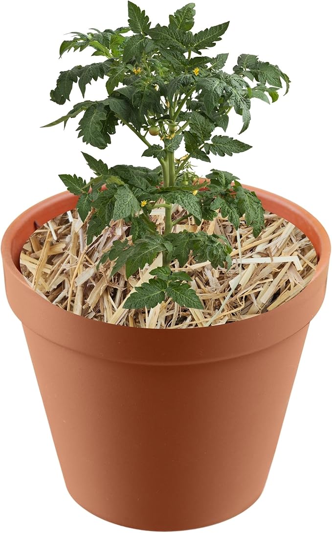 Premium Wheat Straw Mulch - Eco-Friendly Straw Mulch in Convenient Bags of Mulch for Gardens, Landscaping, and Ground Cover, Hand Packed in The USA 1 Quart