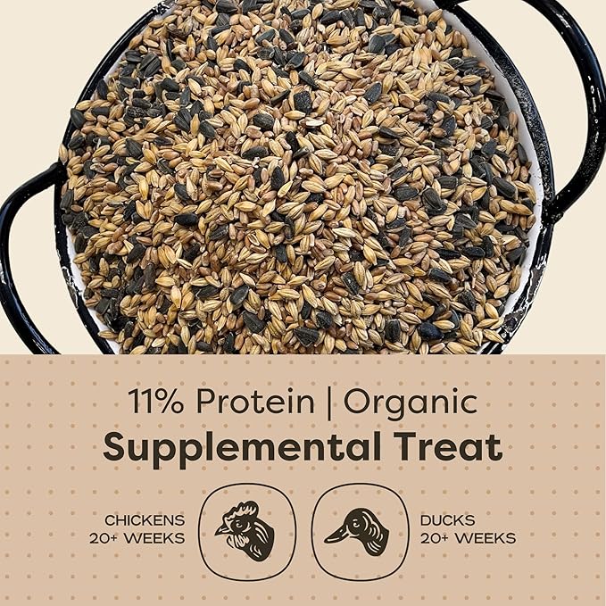Scratch and Peck Scratch + Seeds Chicken and Duck Treat - 10 lbs Bag - 11% Protein, Certified Organic and Non-GMO Project Verified Chicken Food