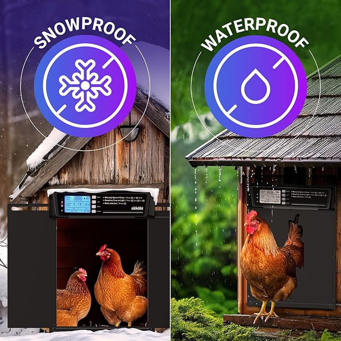 Extra Large Automatic Chicken Coop Door Solar Powered with Remote - LCD Display, Light Sensor, Timer & Anti-Pinch Function – 11.3" x 8.7" Door Opening – 5-Year Protection – Black – by Okköbi