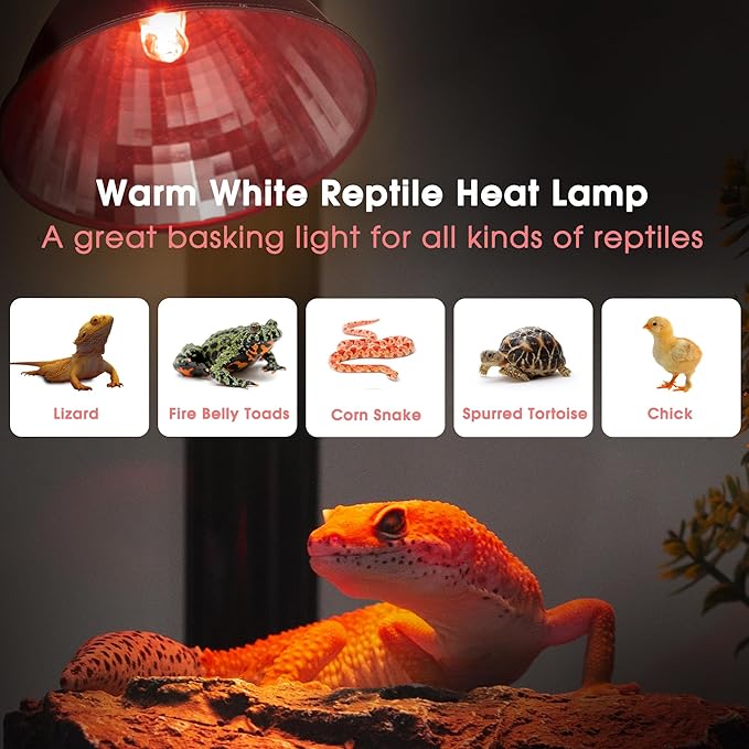 Briignite Reptile Heat Lamp Red, 50W G9 Heat Bulb & Dome Reptile Light Fixture, Aluminum Reflector, Dimmable Heat Lamp for Chicken, Turtle, Snake, Gecko, Lizard, 1 Pack