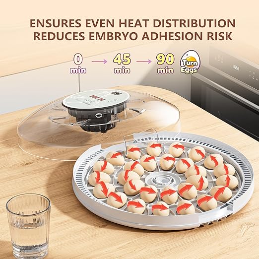 MeeF Egg Incubator for Hatching 28 Eggs, Auto Flip, Independent Atomizing Humidifier, with Duck and Goose Egg Trays (White)