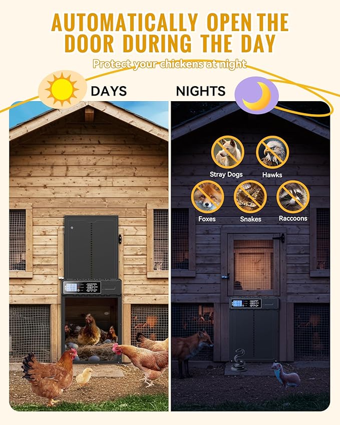 Automatic Chicken Coop Door Solar Powered with XL Large Size 10.8″x 14.2″ Auto Chicken Door Design with USB-C Charging & 3 Modes, Anti-Pinch & Aluminum Alloy Weather Proof-Black