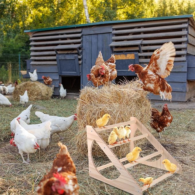 Chicken Perch Stand Wooden Chicken Roosting Bar Strong Stable Roosting Bar for Coop and Brooder, Fun Toys for Chick Indoor/Outdoor Use