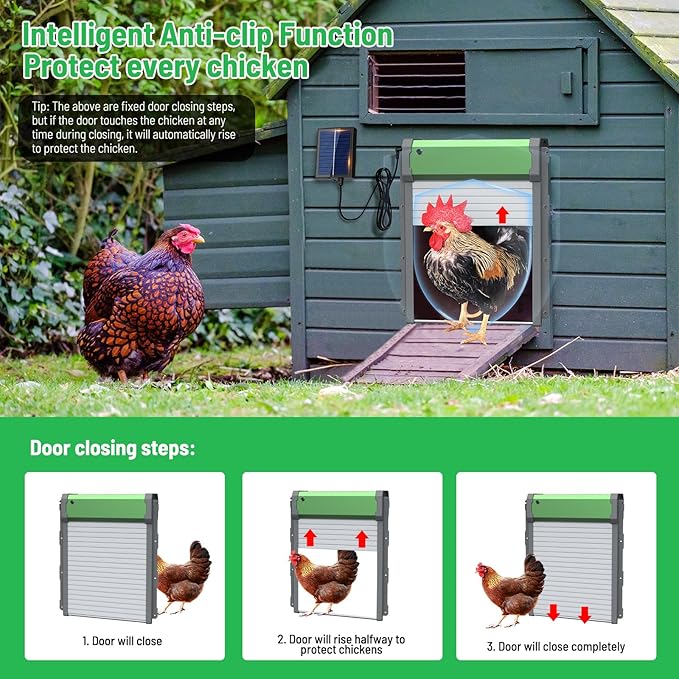 Automatic Chicken Coop Door, Solar Powered Door Opener with Timer & Light Sensor, 4 Modes IP65 External 2000mAh Power Supply Connection with Remote Control & Anti-Pinch Function for Family, Farms